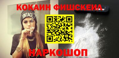 гашик Камышлов
