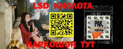 гашик Камышлов