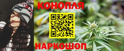 гашик Камышлов
