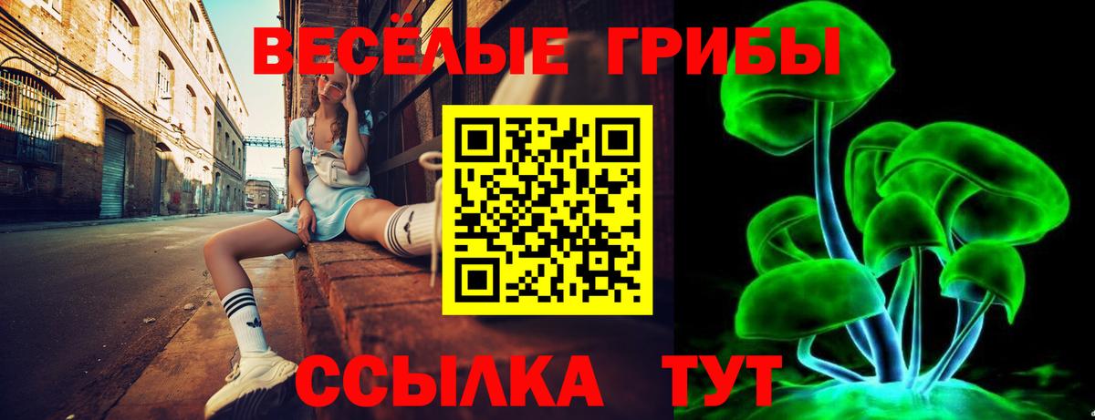 Галлюциногенные грибы Magic Shrooms Лосино-Петровский