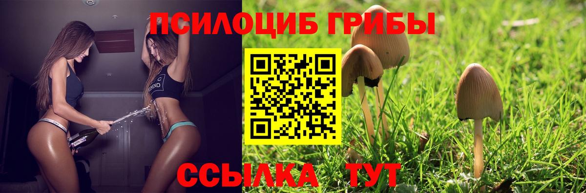 Лосино-Петровский  Псилоцибиновые грибы Psilocybine cubensis  Вход с VPN 